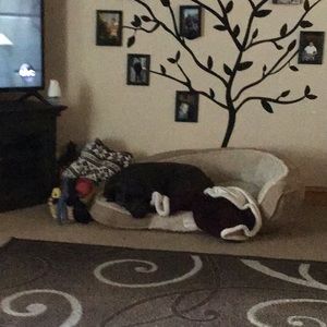 Meet your Posher, Tara